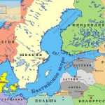 Обитатели Балтийского моря: виды и описание, среда обитания, фото