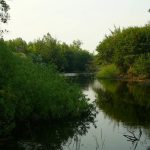 Река Еруслан: течение и особенности
