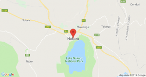 Национальный парк "Озеро Накуру": местонахождение, описание, фото