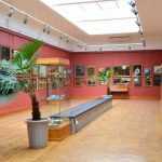 Музей изобразительных искусств в Нижнем Тагиле. Информация для посетителей