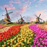 Экономика Нидерландов: особенности, характеристика и структура