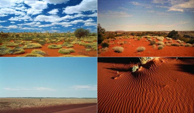 пустыня в австралии