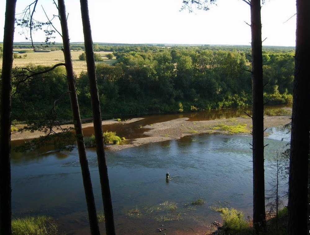 Природа реки Чепца
