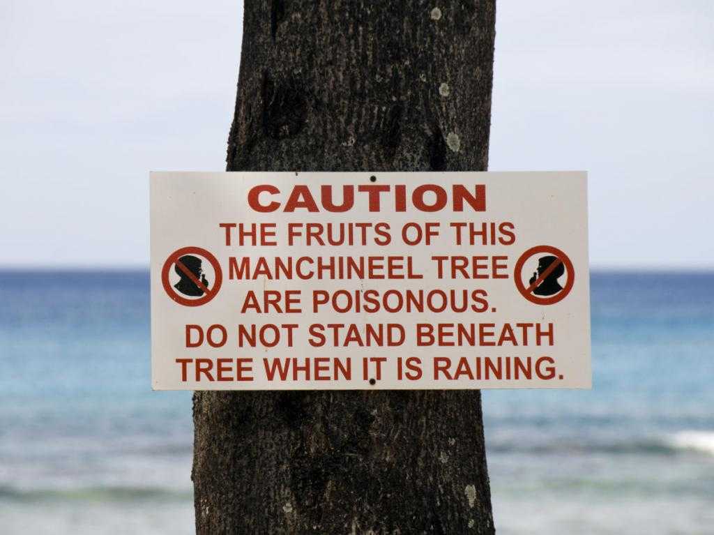Предупредительная табличка на дереве