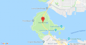 Парк Стэнли в Ванкувере - вечнозеленый оазис. Сериал "Стенли Парк"
