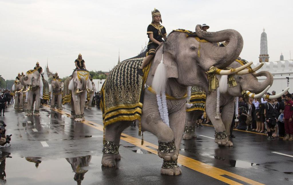день слона в тайланде