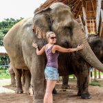 Слоны в Тайланде: интересные факты
