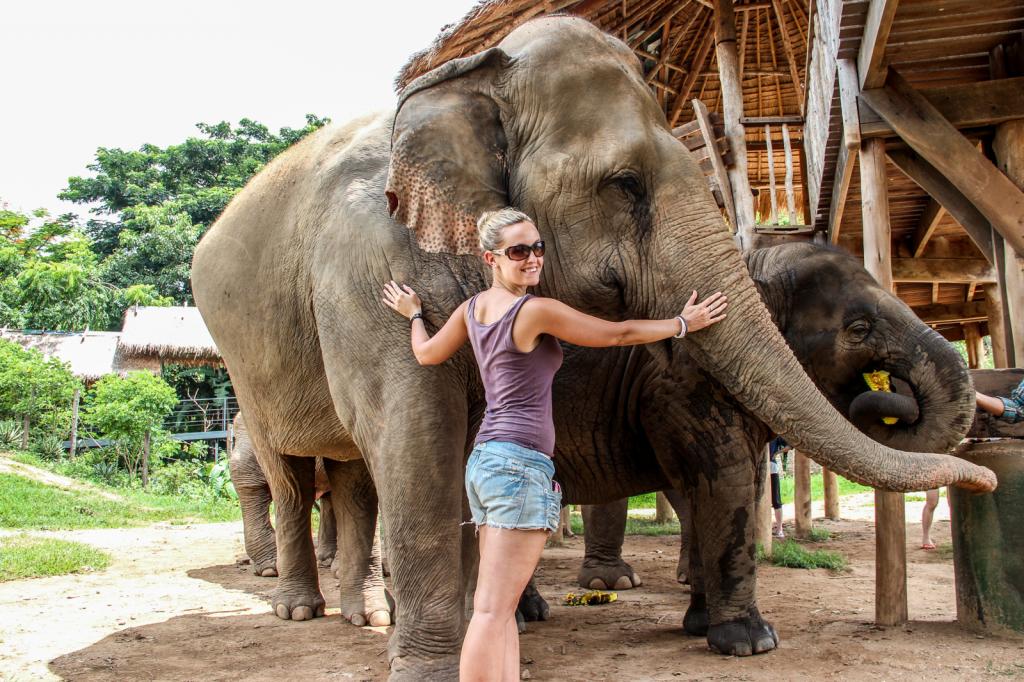 слоны в тайланде интересные факты