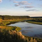 Сельское хозяйство Нижегородской области: структура и статистика
