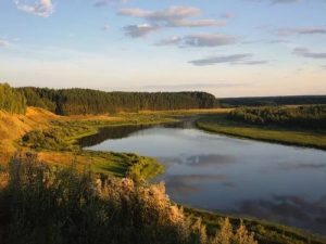 Сельское хозяйство Нижегородской области: структура и статистика